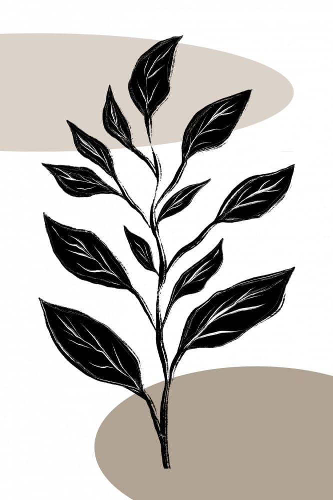 Elegant Botanical Branch by Martina — canvas wall art
