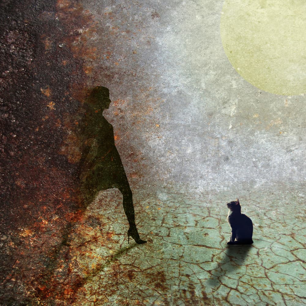 Woman Cat Moonlight by Evgenii Novichikhin — canvas wall art