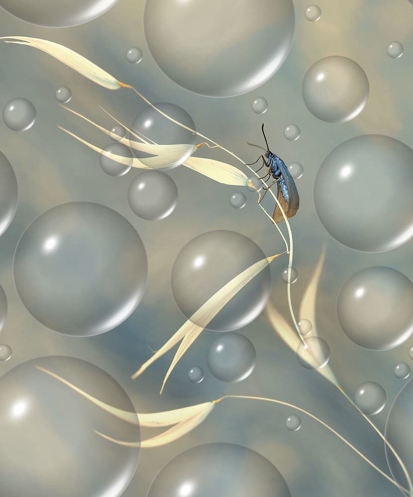 Blue Bug Bubble World by Thierry Dufour — canvas wall art