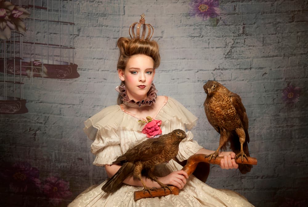 Regal Portrait with Hawks by Monika Vanhercke — canvas wall art