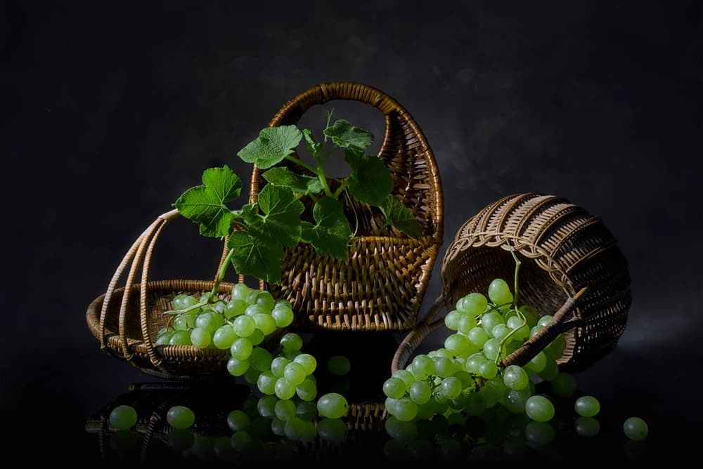 Abundant Grapes Still Life by Lydia Jacobs — canvas wall art