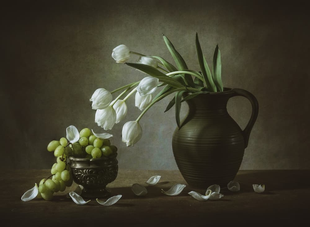 White Tulips and Grapes by May G — canvas wall art