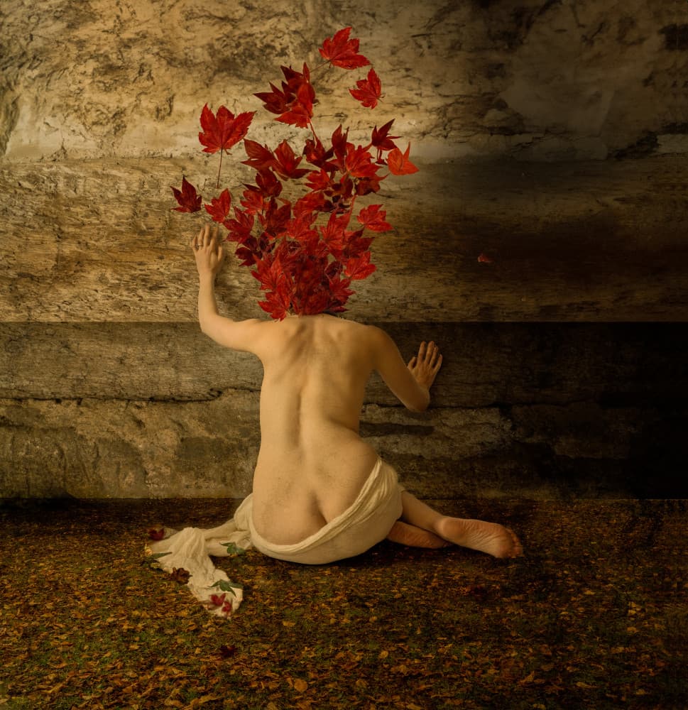 Red Leaves Woman by Colin Dixon — canvas wall art