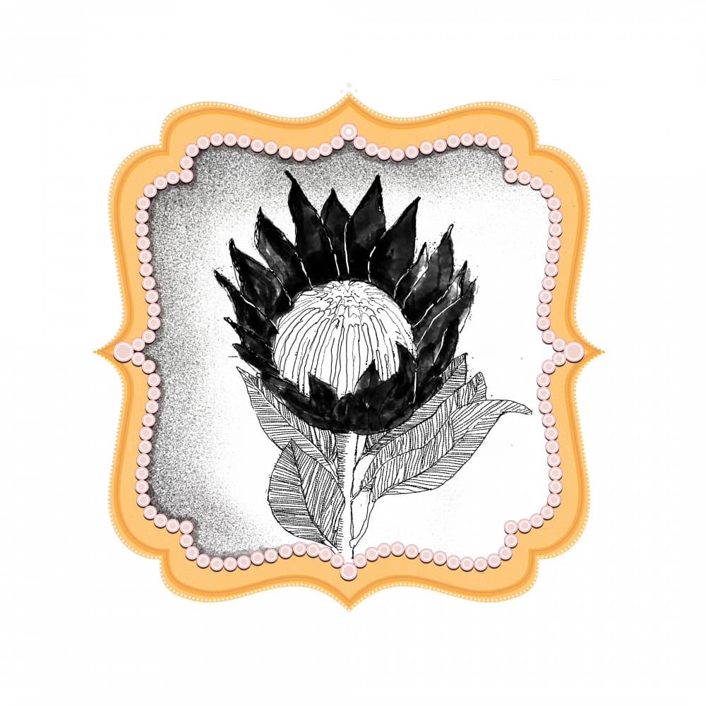 Luminous Protea Bloom by XHOZUCAN — canvas wall art