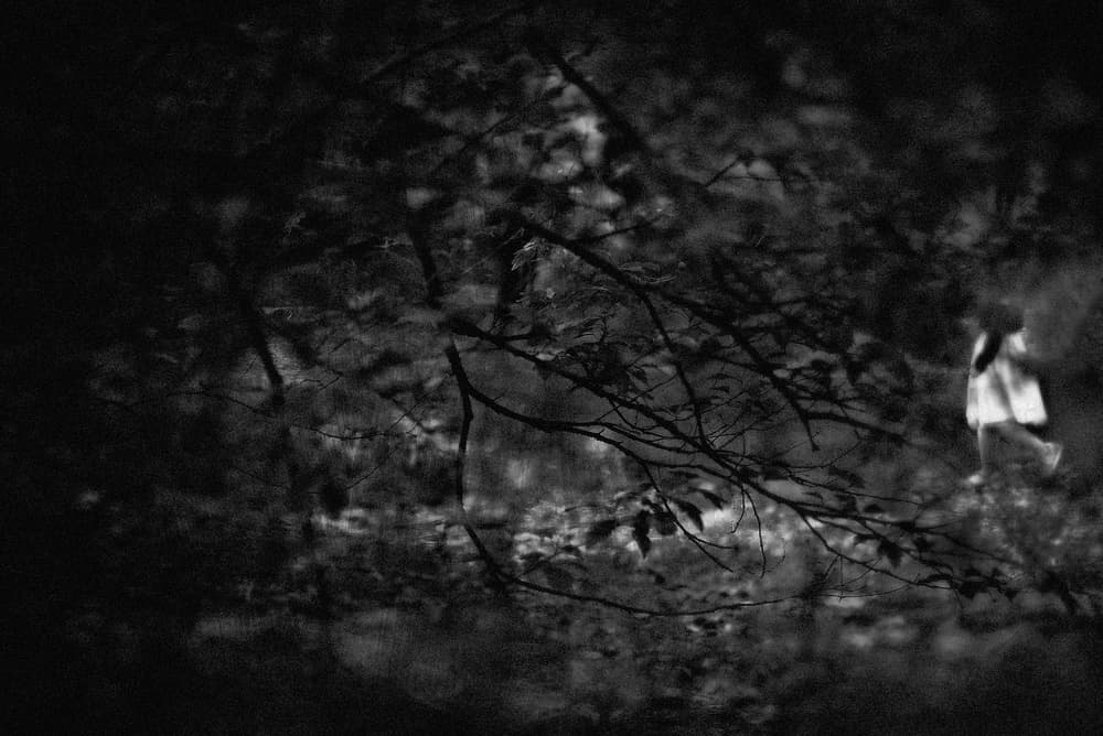 Shadowy Forest Walk by Teruhiko Tsuchida — canvas wall art