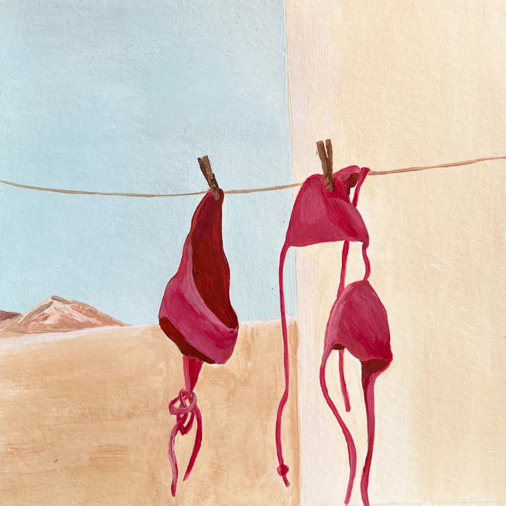 Desert Bikinis by marina dorgan — canvas wall art