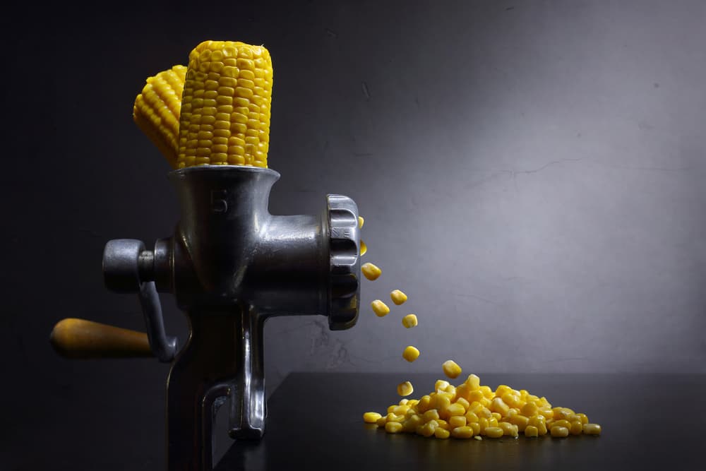 From Cob To Kernel by Victoria Glinka — canvas wall art