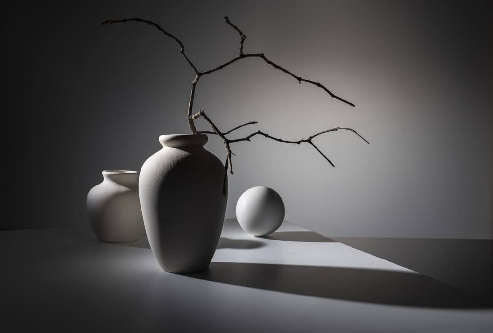 Monochromatic Still Life Forms by Evgeniy Popov — canvas wall art