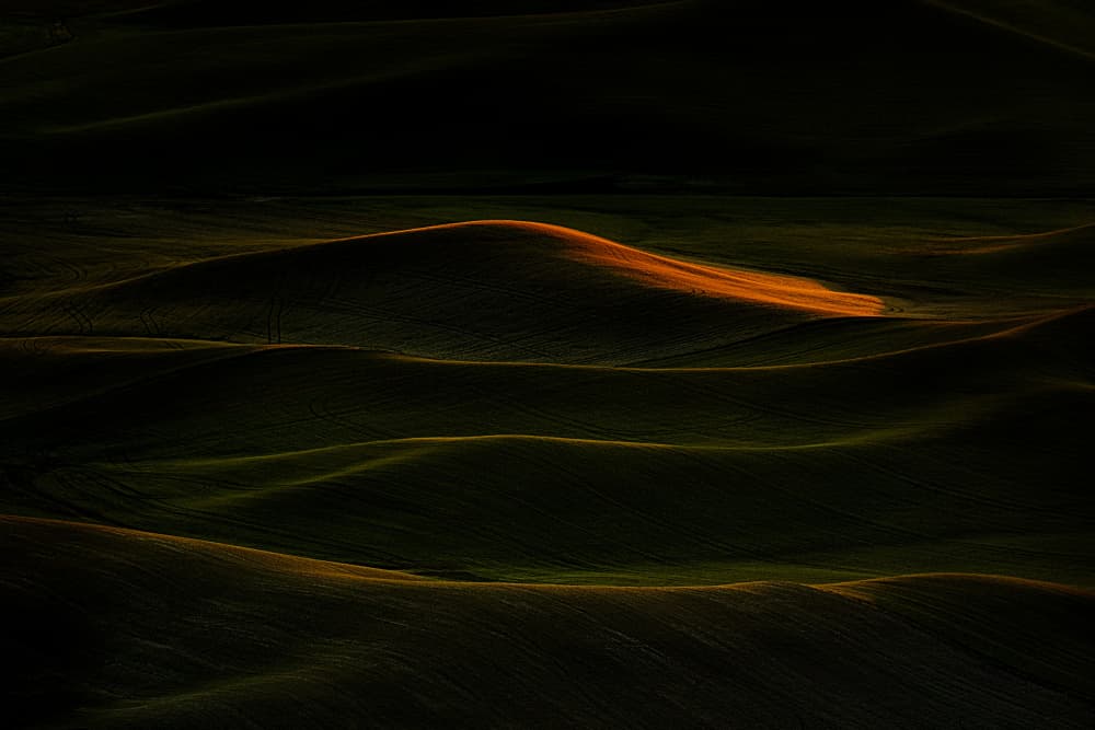 Golden Hill Glow by Lydia Jacobs — canvas wall art