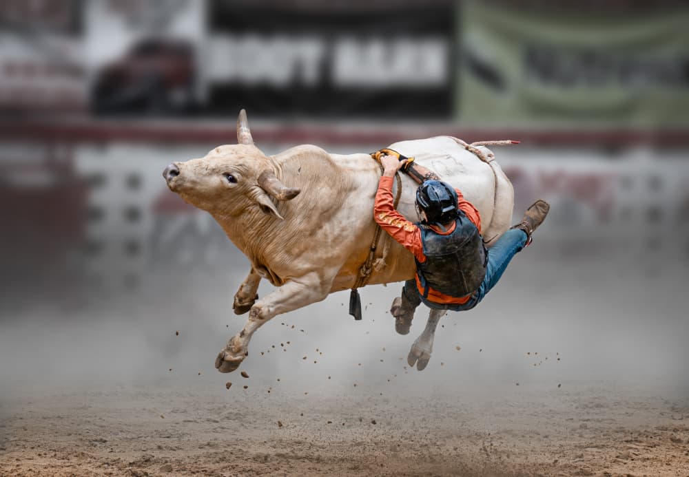 Bucking Bull Rider by Ti Wang — canvas wall art