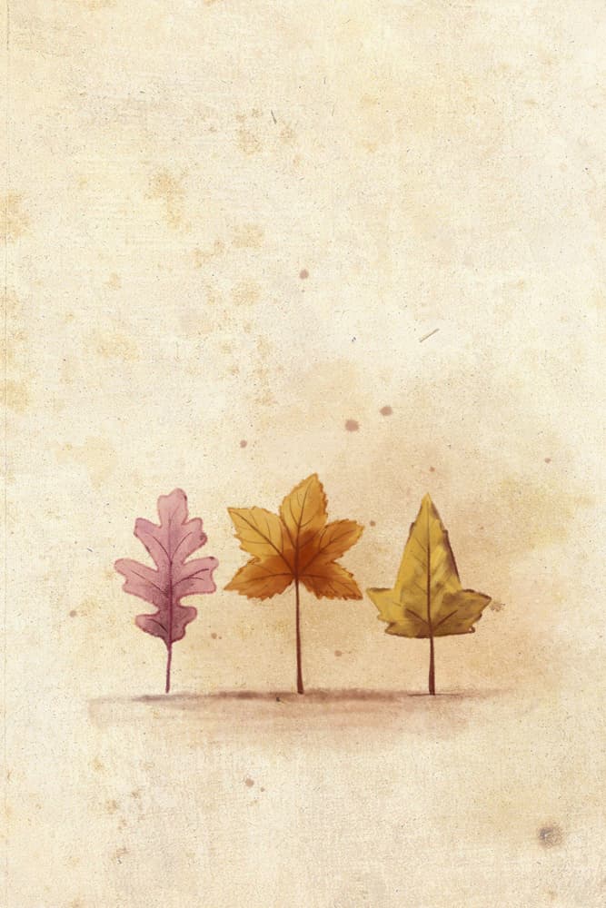 Autumn Watercolor Leaves by Xuan Thai — canvas wall art