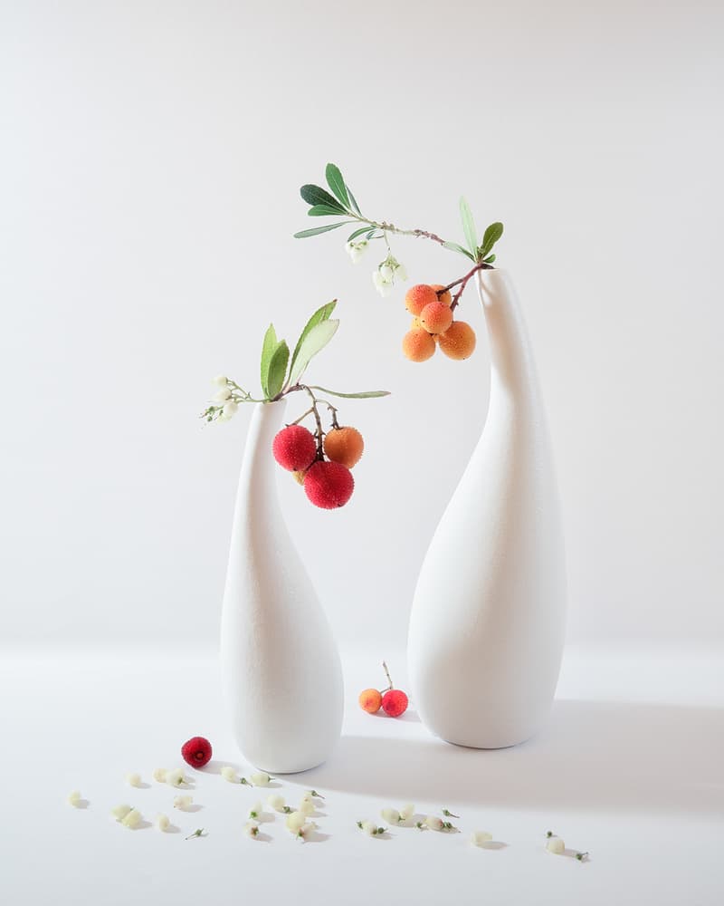 Fresh Berries White Vases by Aidong Ning — canvas wall art