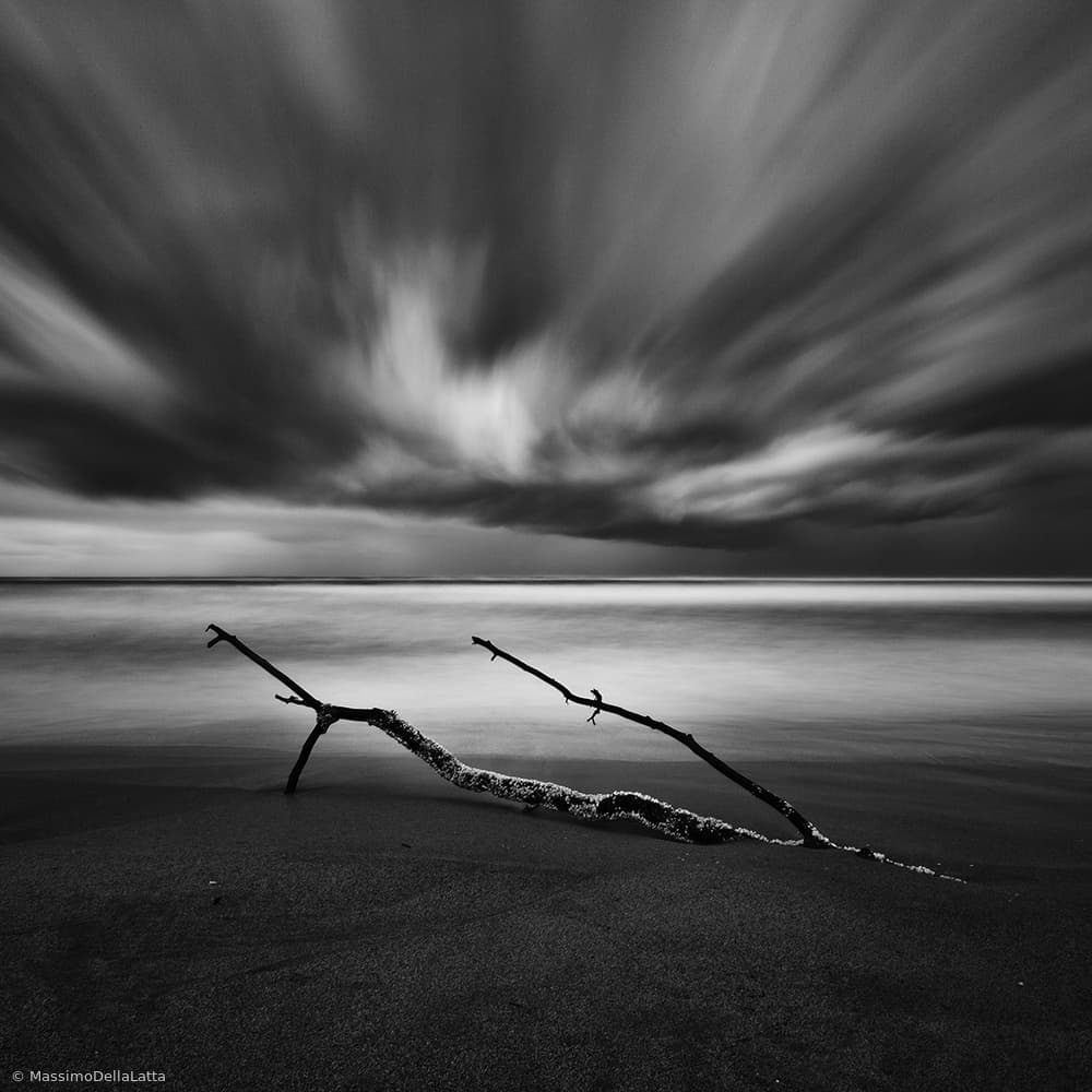 Moody Beach Driftwood by Massimo Della Latta — canvas wall art