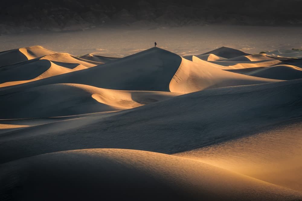 Golden Desert Solitude by Catherine Lu — canvas wall art
