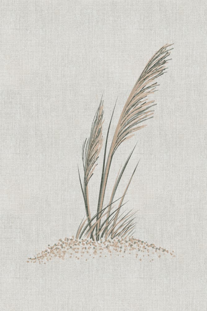 Coastal Dune Grass by Alexandra Weise — canvas wall art