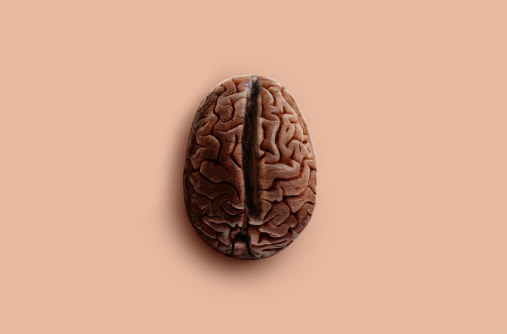 Coffee Brain Concept by Artem Pozdniakov — canvas wall art