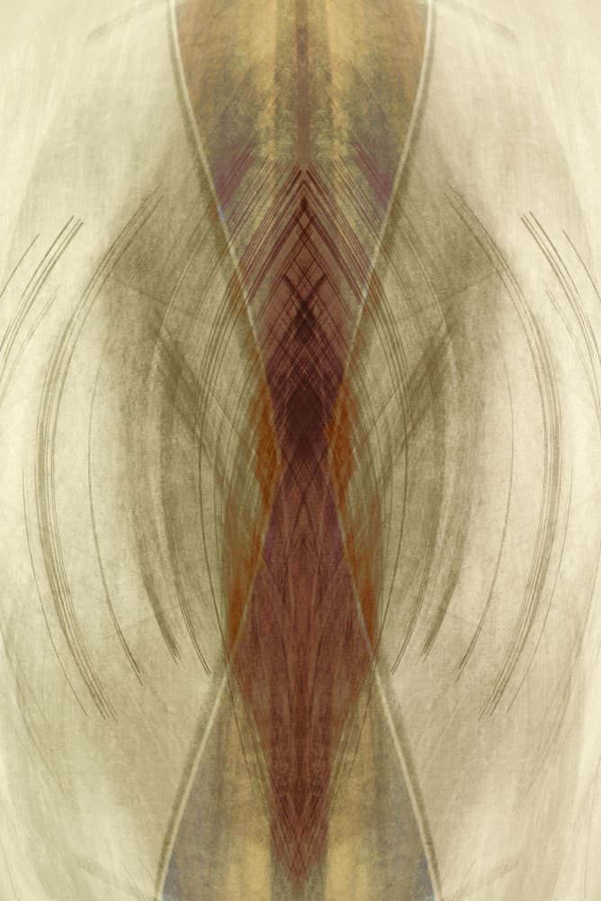 Earthy Flowing Symmetry by Christina Sillen — canvas wall art