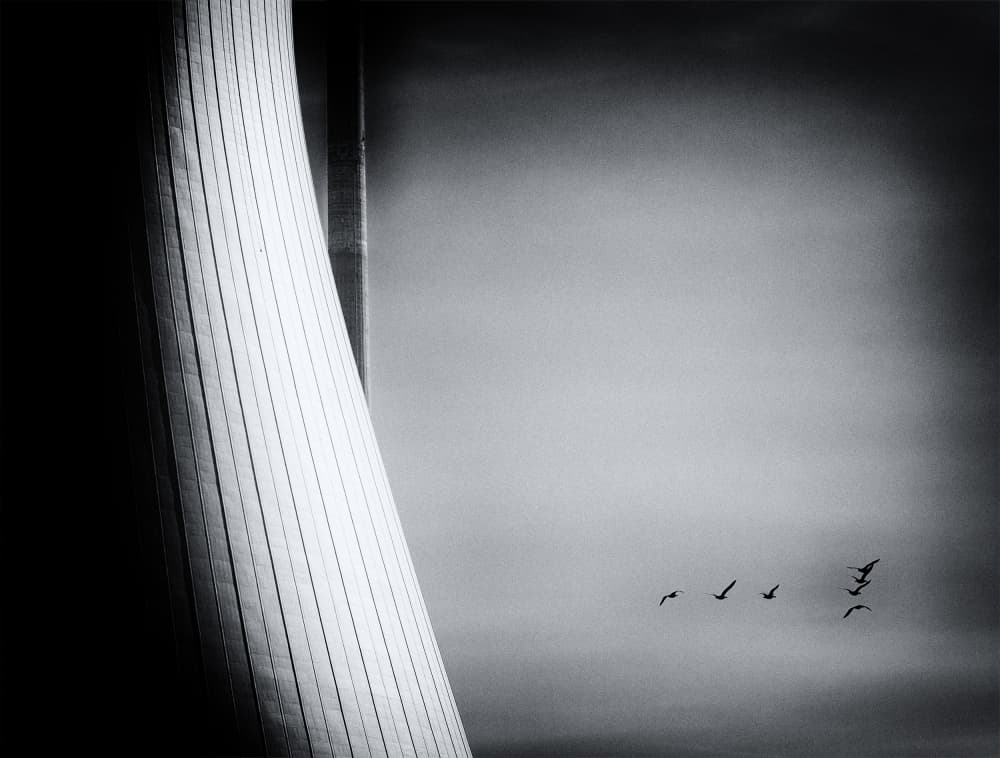 Graceful Flight Modern Structure by Jacob Tuinenga — canvas wall art