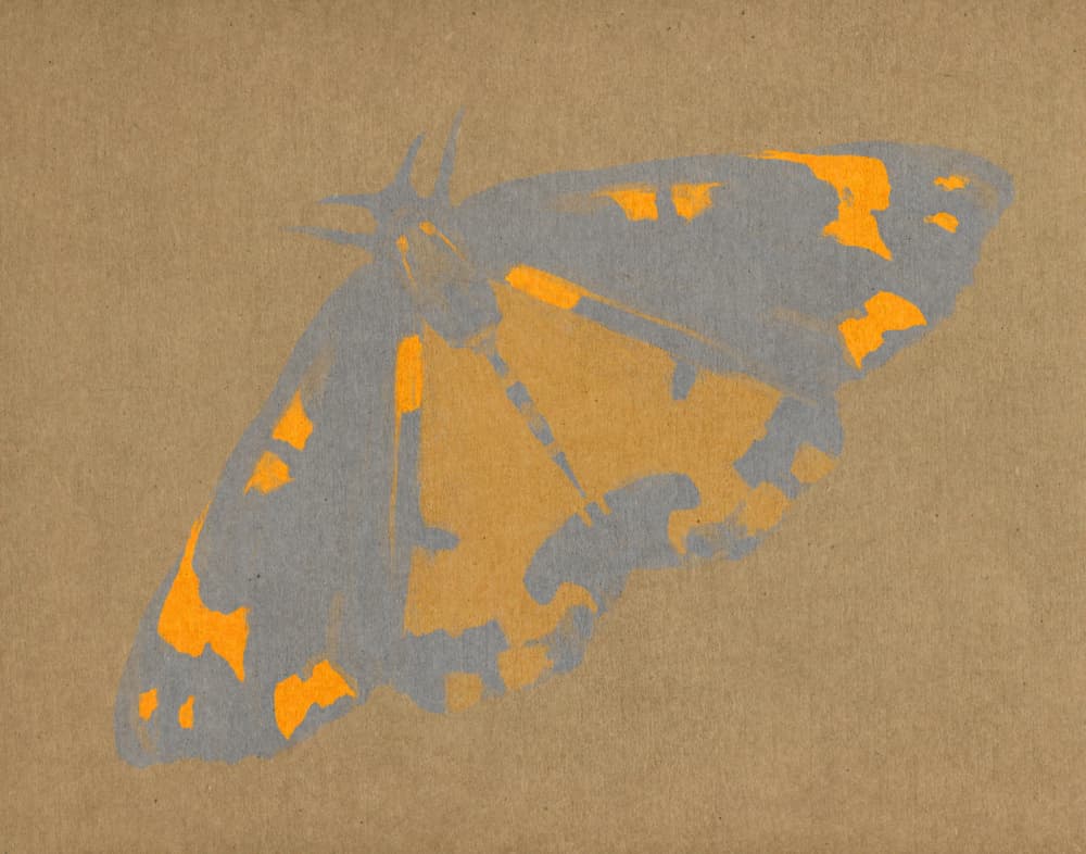 Stylized Orange Butterfly by Josie George — canvas wall art