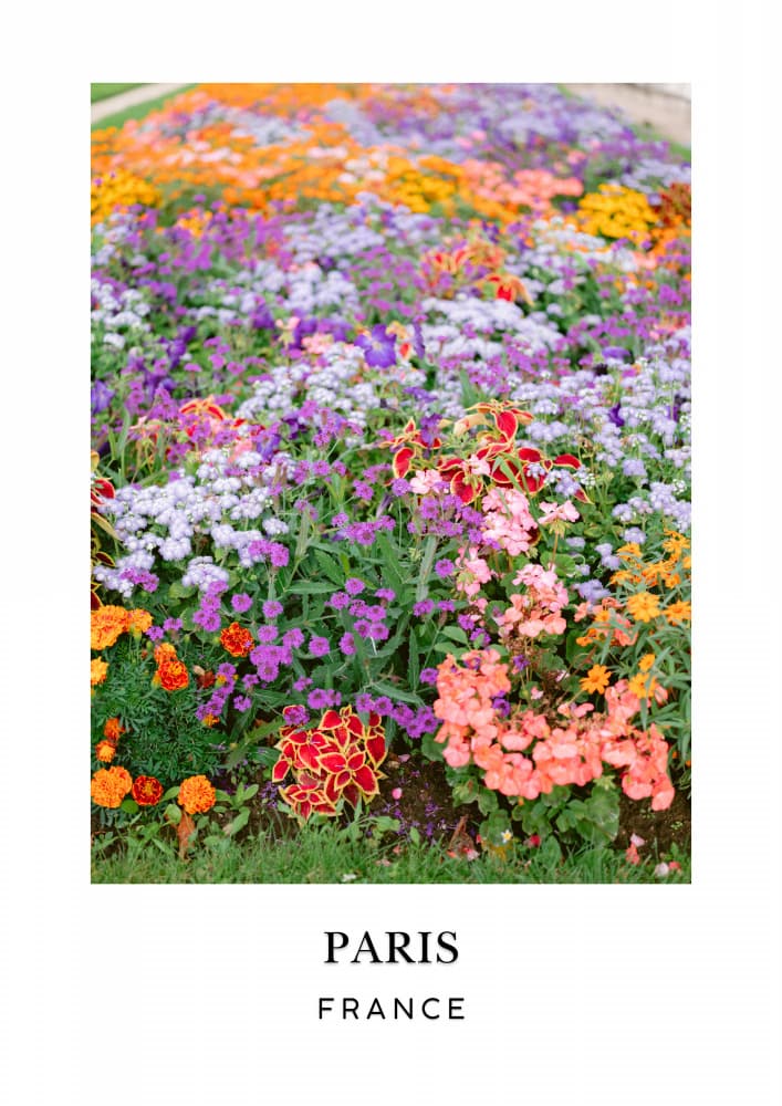 Paris Floral Travel poster by Raisa Zwart — canvas wall art