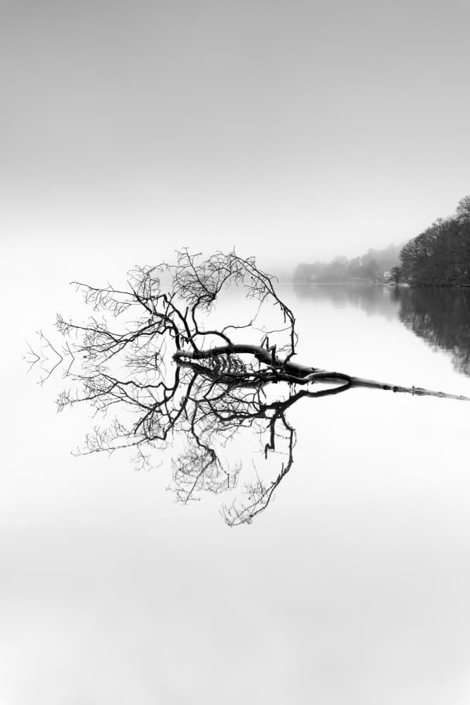 Misty Lake Reflection by Benny Pettersson — canvas wall art