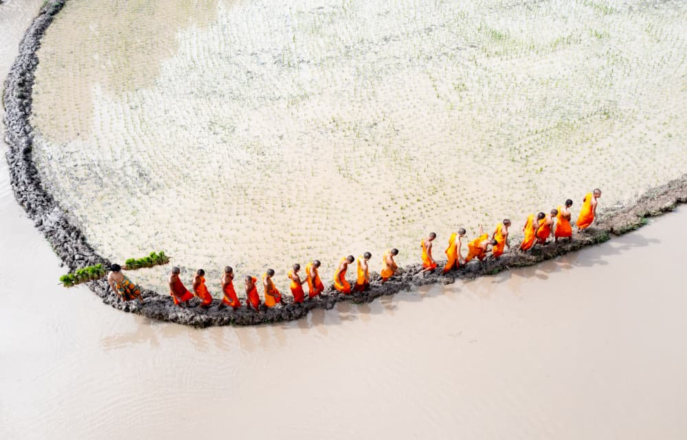 Monks In Paddy Field by Tran Van Truong — canvas wall art