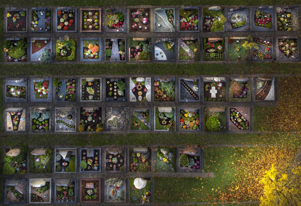 Vibrant Memorial Gardens by Stephan Rückert — canvas wall art