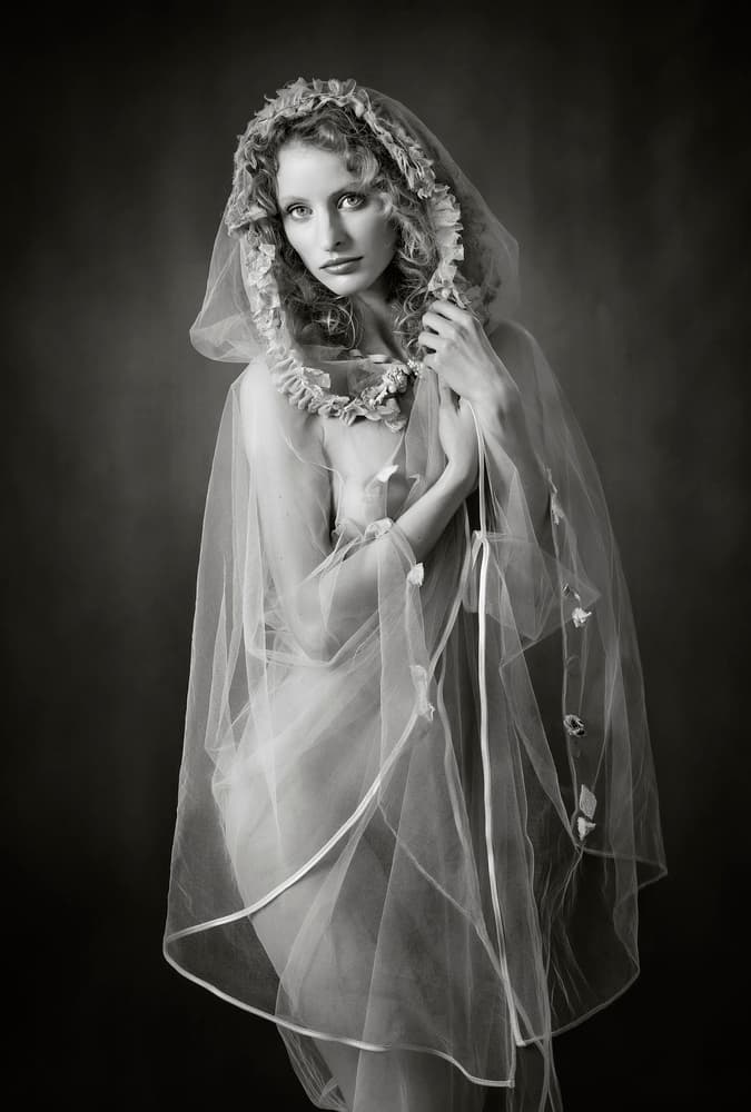 Soft Veiled Beauty by Catchlight Studio — canvas wall art