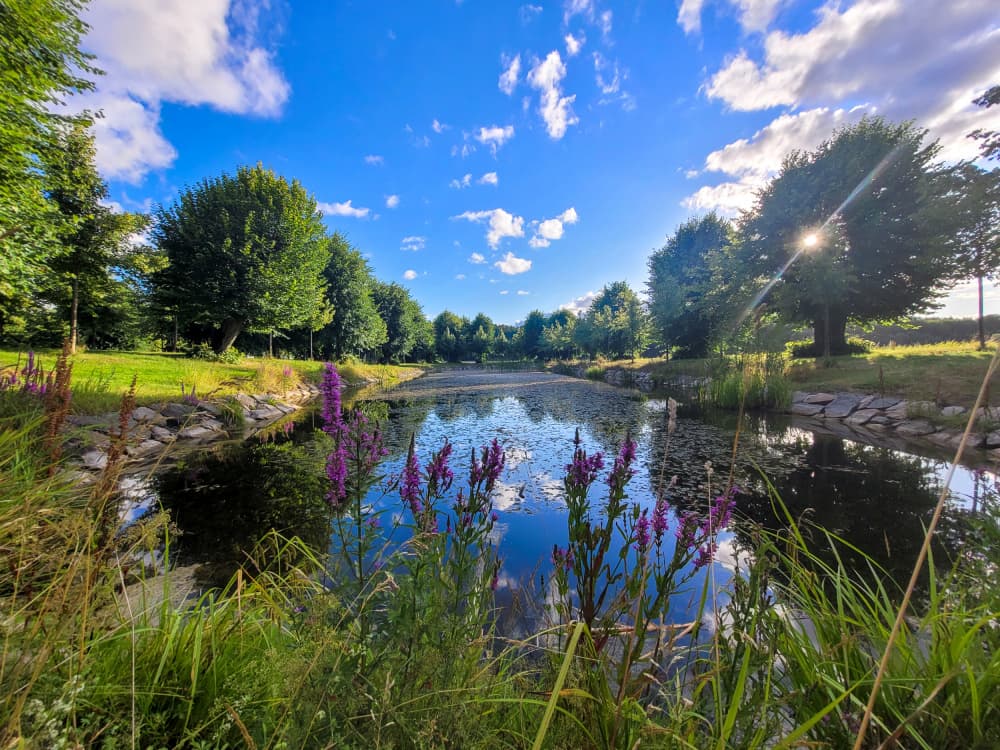 Serene Summer Pond by Olea Huuska — canvas wall art