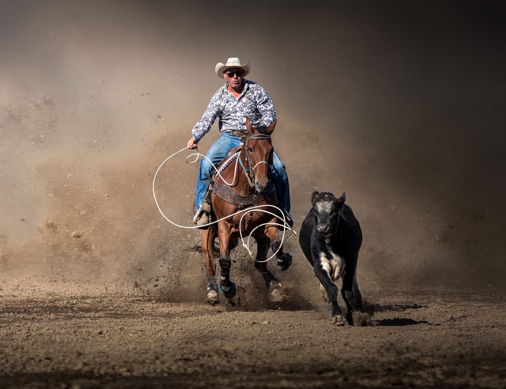 Cowboy Roping Calf by Irene Wu — canvas wall art