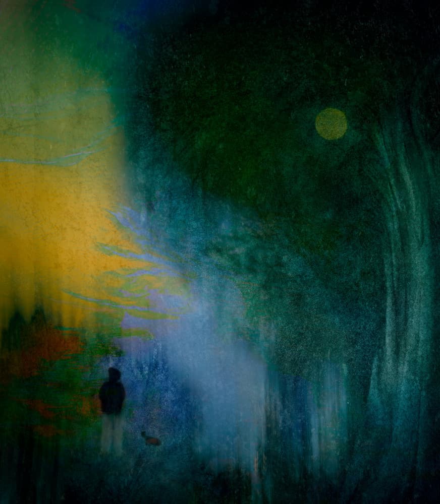 Solitary Moonlit Path by Shenshen Dou — canvas wall art