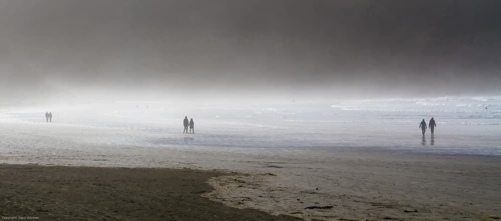 Moody Misty Beach Walk by Ugur Erkmen — canvas wall art