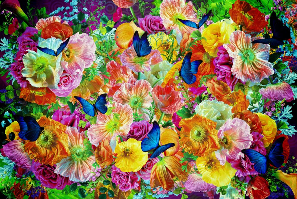 Vibrant Butterfly Garden by Sue Skellern — canvas wall art