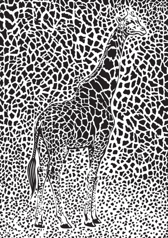 Black White Giraffe Pattern by Carlo Kaminski — canvas wall art