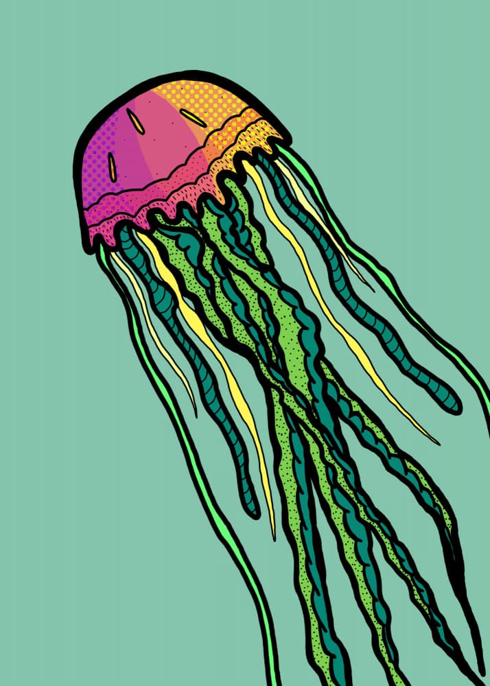 Pop Art Jellyfish by Stephen Wade — canvas wall art