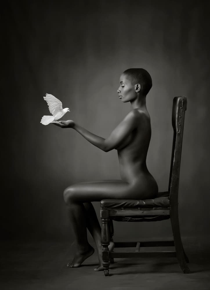 Peaceful Woman With Dove by Catchlight Studio — canvas wall art