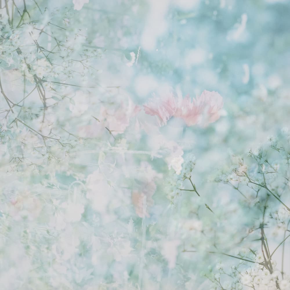Dreamy Pastel Blooms by Pelin Atilla — canvas wall art