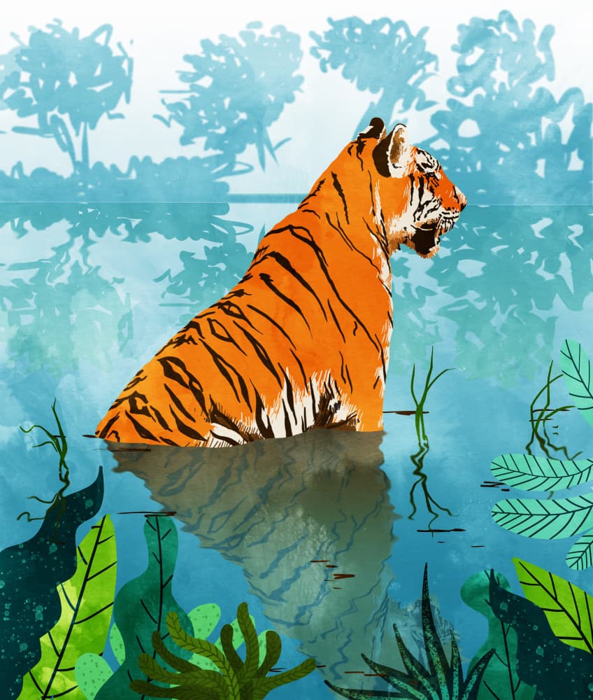 Wild Tiger Reflection by Uma Gokhale — canvas wall art