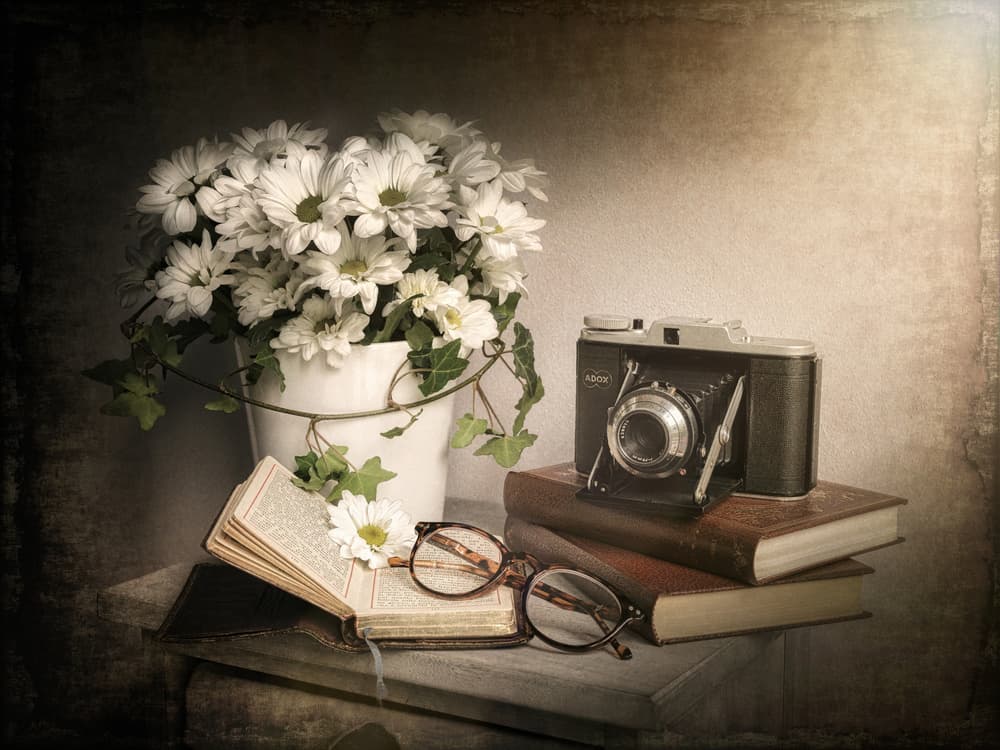 Vintage Still Life by Cristiano Giani — canvas wall art