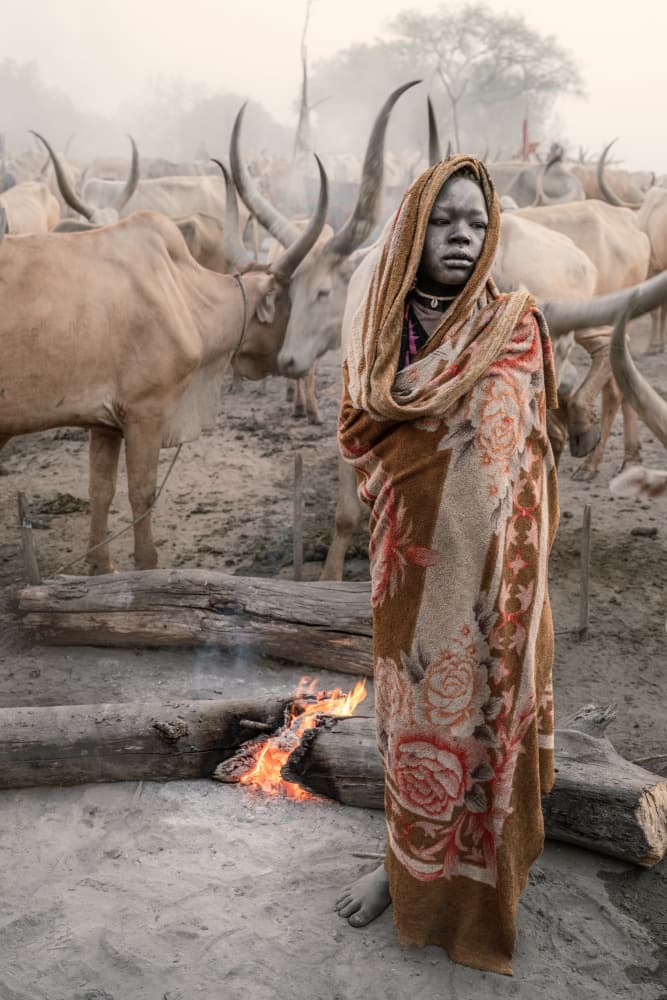 Solemn Woman Longhorn Cattle by Trevor Cole — canvas wall art