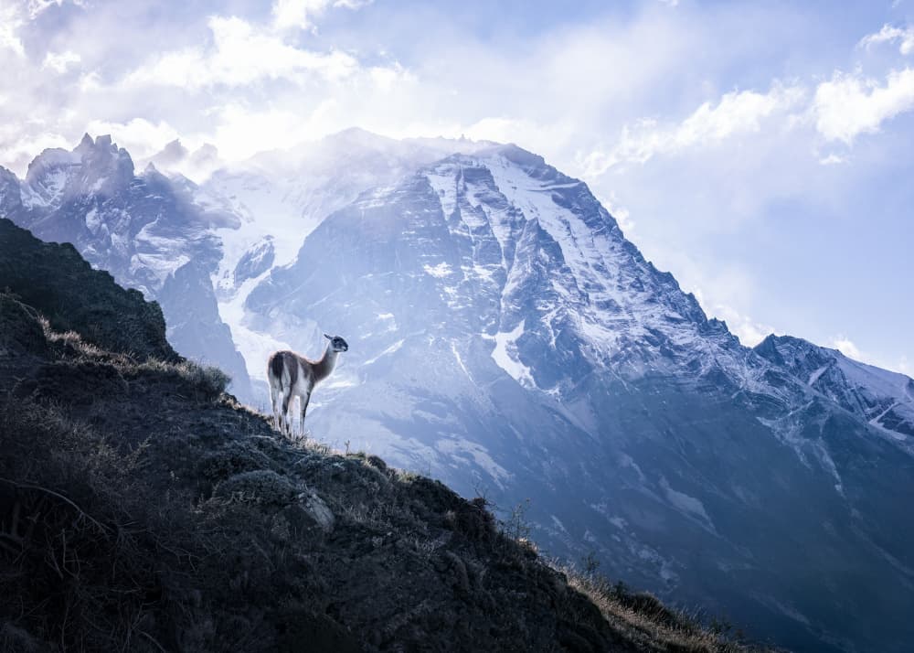 Guanaco Mountain Peaks by Chuan Chen APA — canvas wall art