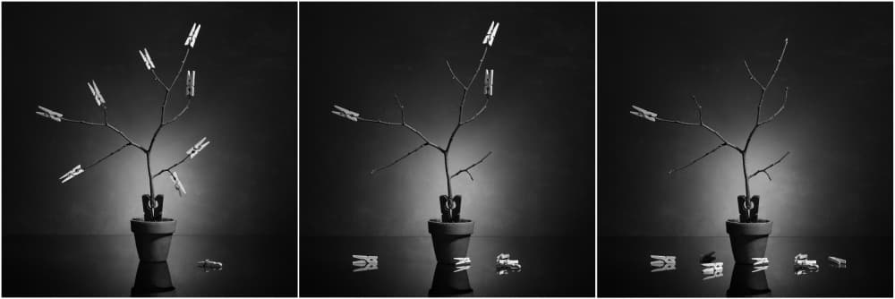 Clothespin Branch Evolution by Victoria Glinka — canvas wall art