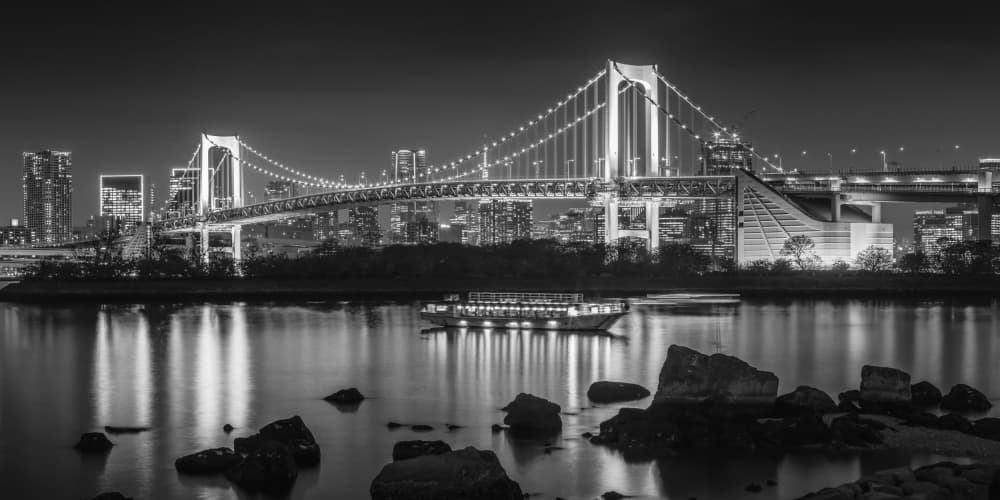 Tokyo Night Bridge by Melanie Viola — canvas wall art