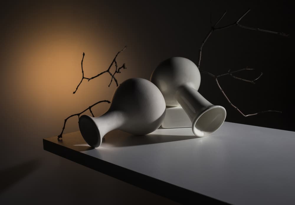 Elegant Vases and Branches by Evgeniy Popov — canvas wall art