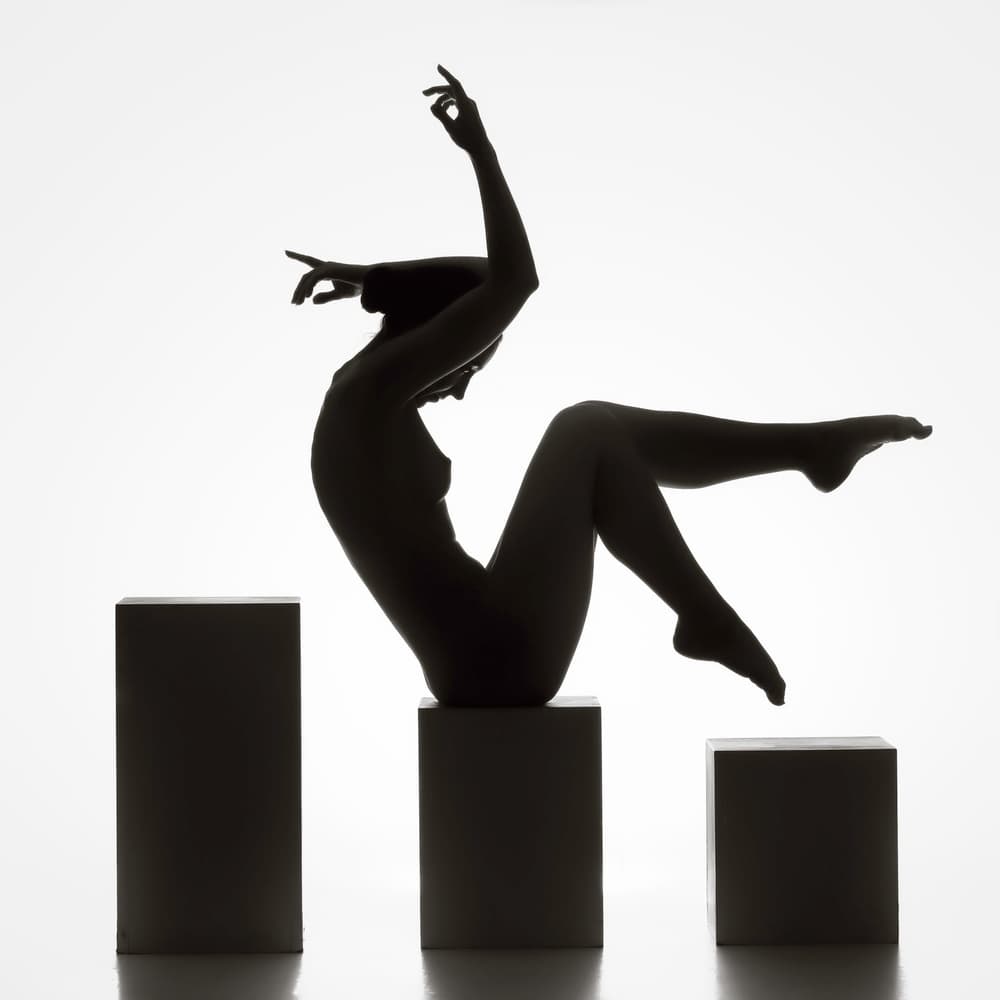 Elegant Silhouette Form by Catchlight Studio — canvas wall art