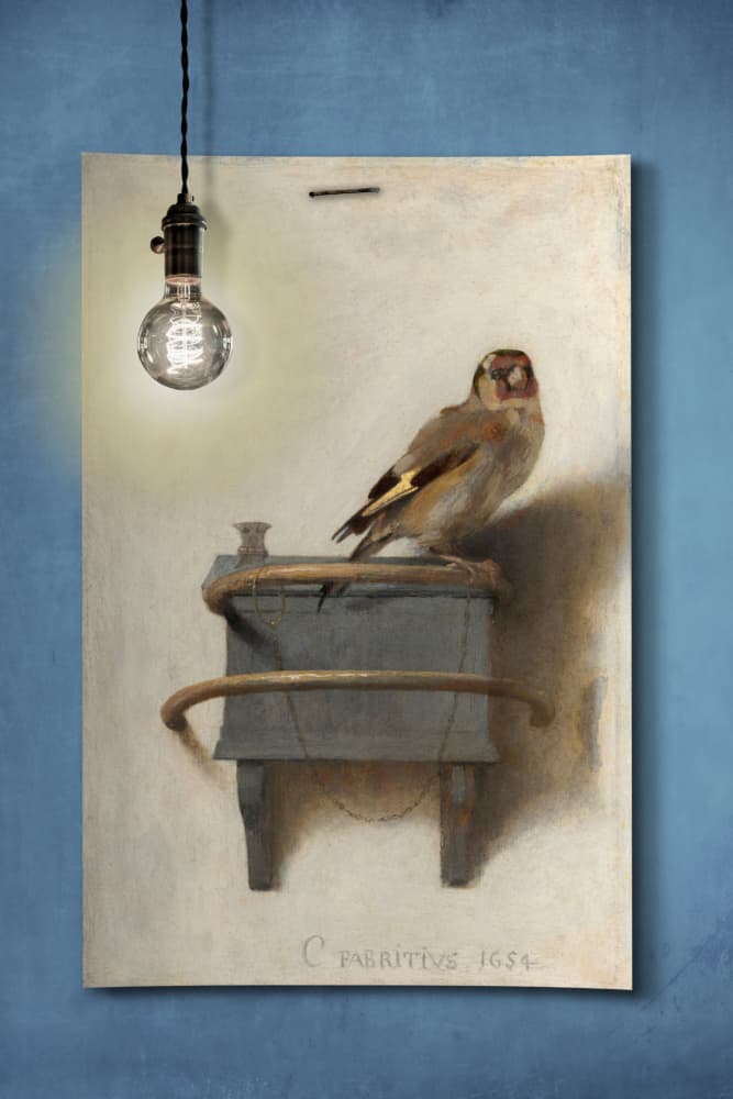 Goldfinch and Warm Light by Marja van den Hurk — canvas wall art