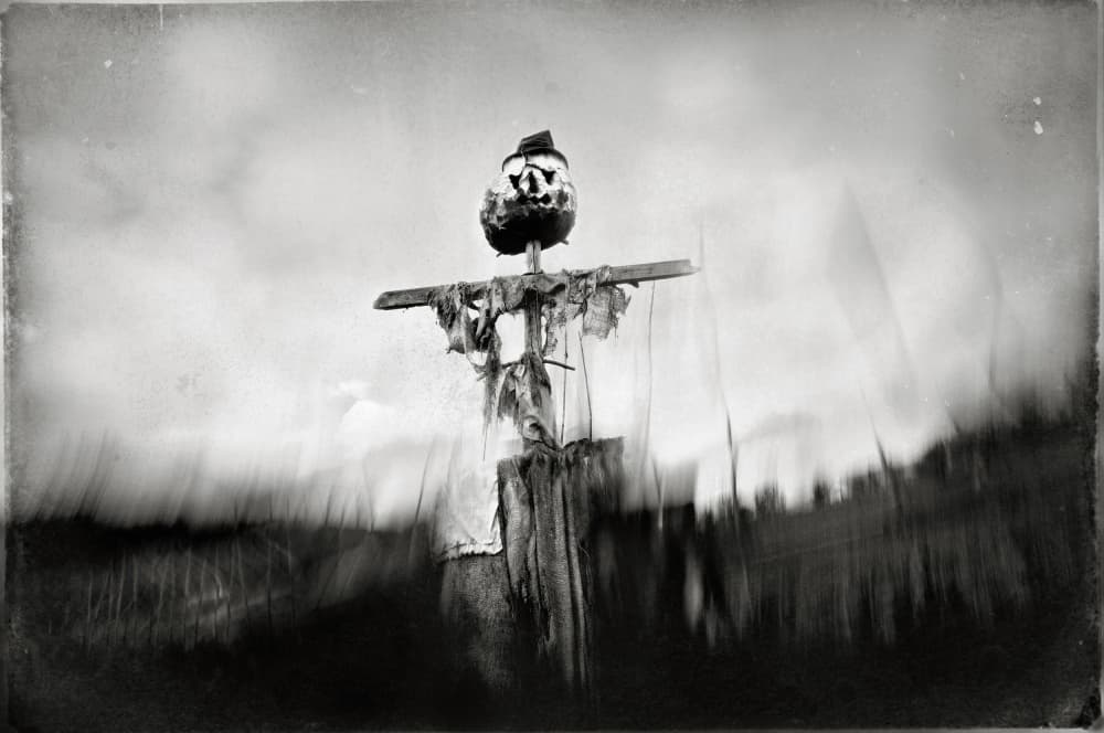 Windy Scarecrow Bird by Darko Cuder — canvas wall art