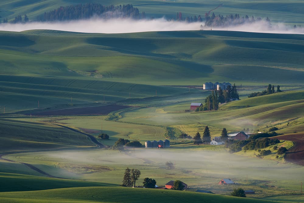 Rolling Misty Farmland by 李从军 / Austin Li — canvas wall art