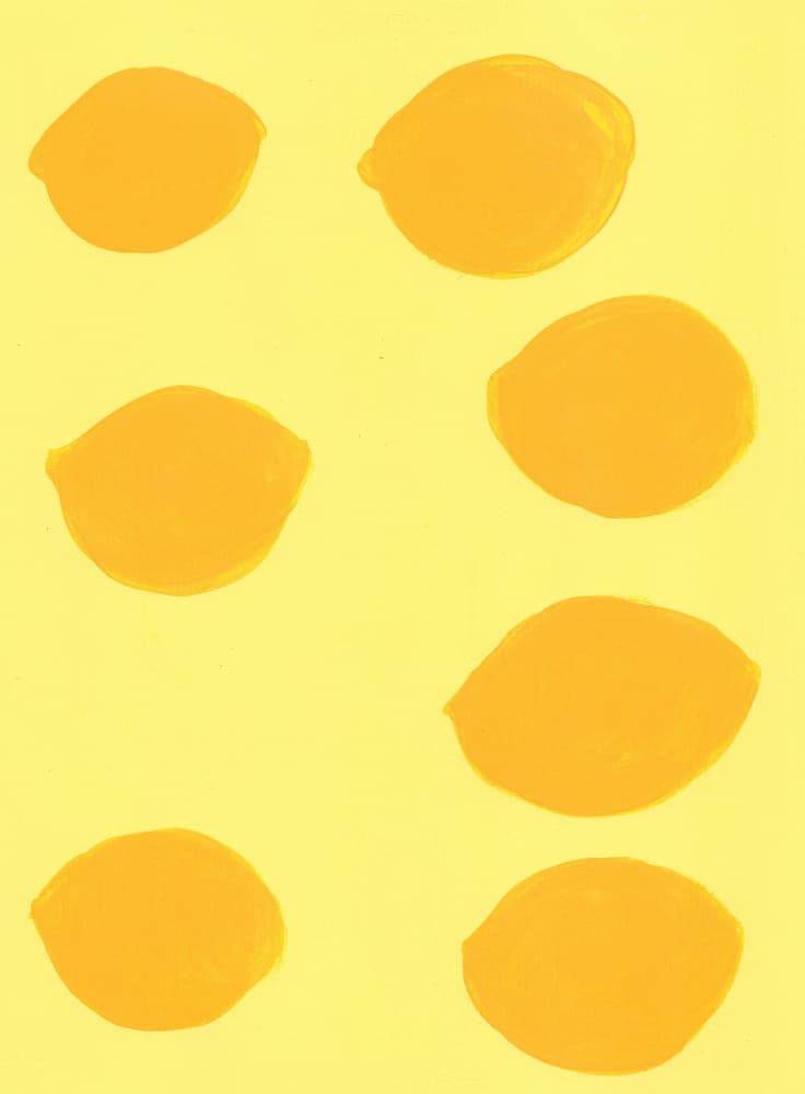 Lemon 1 by Lerin Freyou — canvas wall art