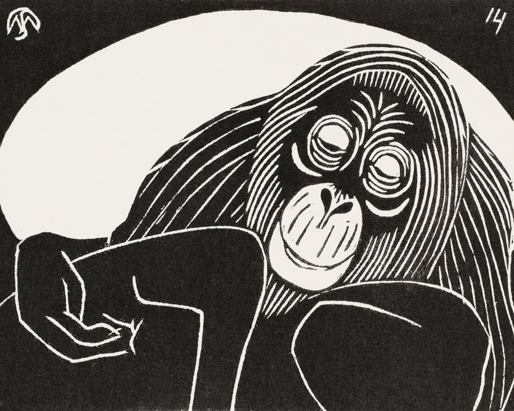 Orangutan by Samuel Jessurun De Mesquita — canvas wall art